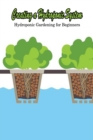 Image for Creating a Hydroponic System