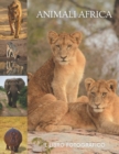 Image for Animali Africa
