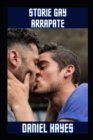 Image for Storie gay arrapate