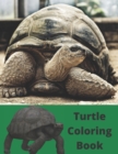 Image for Turtle Coloring Book