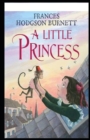 Image for A Little Princess Illustrated
