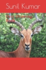 Image for Deer Drawing Book