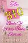 Image for The BIG Book Of Sissy Baby Stories - nappy version