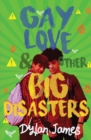 Image for Gay Love and Other Big Disasters