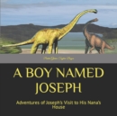 Image for A Boy Named Joseph