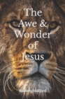 Image for The Awe &amp; Wonder of Jesus