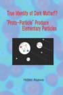 Image for True Identity of Dark Matter!? Proto-Particle Produce Elementary Particles
