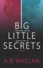 Image for Big Little Secrets