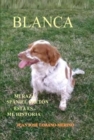 Image for BLANCA ... Mi raza Spaniel Breton, esta es mi Historia