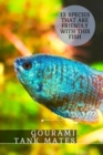 Image for Gourami Tank Mates : 13 Species That ?r? Friendly With This Fish