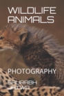 Image for Wildlife Animals : Photography