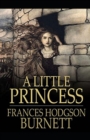 Image for A Little Princess illustrated edition