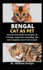 Image for Bengal Cat As Pet