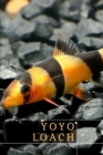 Image for Yoyo Loach : Care Guide f?r th? Beautiful ?nd Communal Creatures