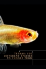 Image for Tetras : 150 Different Species t? Choose From