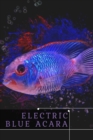 Image for Electric Blue Acara : (Aequidens pulcher) Care Guide