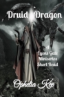 Image for Lyons Gate : Druid Dragon