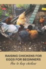 Image for Raising Chickens for Eggs For Beginners