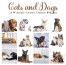 Image for Cats &amp; Dogs : A Wordless Journey Through Pictures