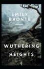 Image for Wuthering Heights Illustrated