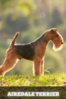 Image for Airedale Terrier