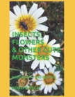 Image for Insects, Flowers &amp; Other Cute Monsters : Photography and Graffiti