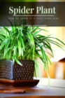 Image for Spider Plant : How t&amp;#1086; Grow It &amp; Easy Care Tips