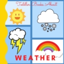 Image for Toddler Books About Weather