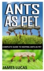 Image for Ants as Pet