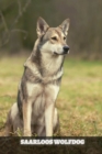 Image for Saarloos Wolfdog