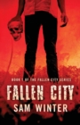 Image for Fallen City (The Fallen City Series, Book 1)