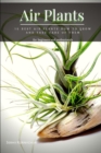 Image for Air Plants : 15 Best Air Plants How t? Grow ?nd Take Care of Them