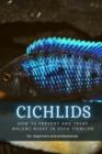 Image for Cichlids : How T? Prevent and Treat Malawi Bloat in Your Cichlids