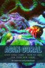 Image for Acan Coral