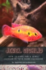 Image for Jewel Cichlid : How T? Care for ? Jewel Cichlid in Your Home Aquarium