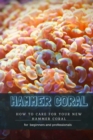 Image for Hammer Coral
