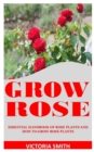 Image for Grow Rose