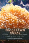 Image for Frogspawn Coral