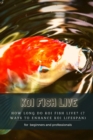 Image for Koi Fish Live : How Long Do Koi Fish Live? (7 Ways T? Enhance Koi Lifespan)