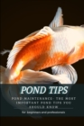 Image for Pond Tips : Pond Maintenance- Th? Most Important Pond Tips ??u Should Know