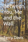 Image for Between You, Me and the Wall