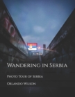Image for Wandering in Serbia