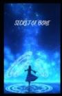 Image for Secret of Bone