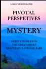 Image for Pivotal Perspectives