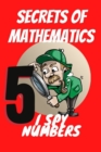 Image for Secrets of Mathematics : I Spy Numbers