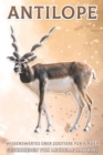 Image for Antilope