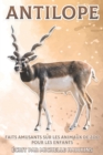 Image for Antilope