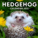Image for Hedgehog Calendar 2021 : 16-Month Calendar, Cute Gift Idea For Hedgehog Lovers Women &amp; Men