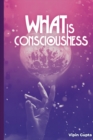 Image for What Is Consciousness
