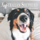 Image for Australian Shepherd